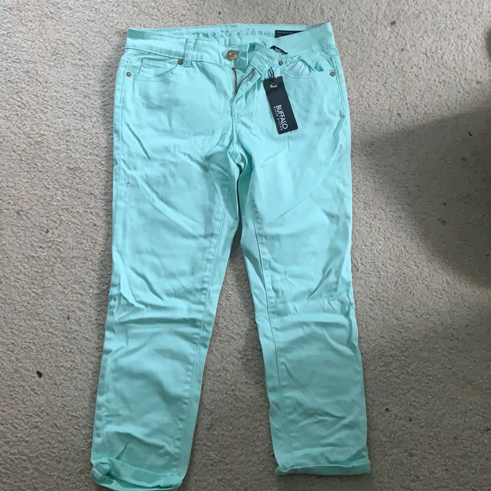 Mint Capri pants